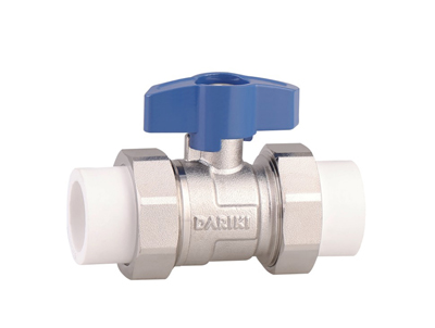 PPR˫�����(ֱ��)