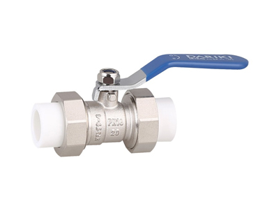 ���ܿ�PPR��