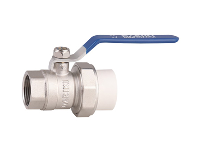 ����PPR��˿��