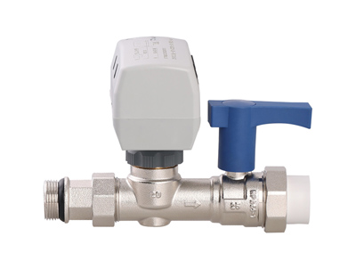 ����������Ϸ�