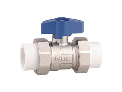 ����PPR˫�����