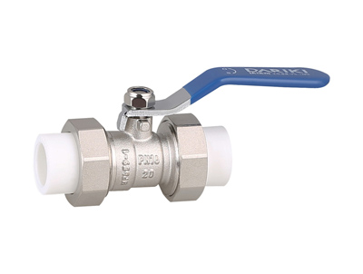 ���ܿ�PPR��